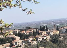 Ad Arquà Petrarca le squisite erbe spontanee dallo chef Andrea Cesarone