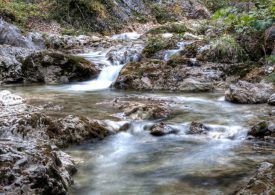 Bellezze  e sapori del Carso Verde Sloveno