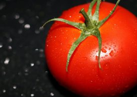 Verde Intesa. Si è conclusa la campagna di raccolta del pomodoro da industria. Anche quest’anno con buona resa e soddisfacente indice qualitativo.