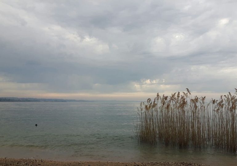 I like my lake – Un progetto della Camera di Commercio di Verona