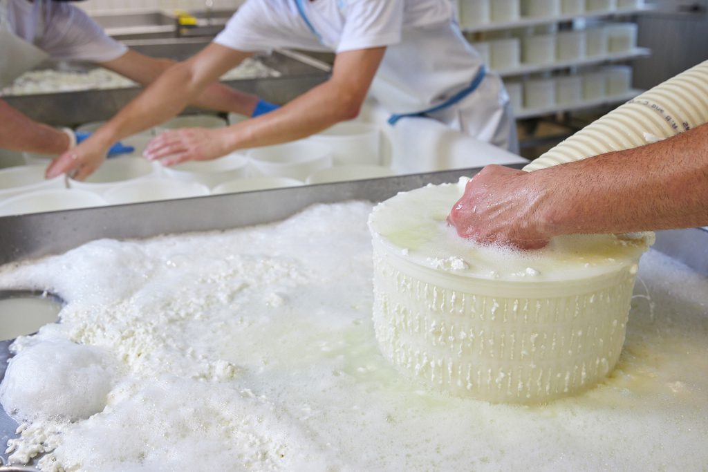 Produzione formaggi Latteria Perenzin