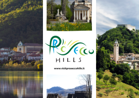 Grande successo per i Press Tour sulle Colline del Prosecco promossi da Visit Prosecco Hills