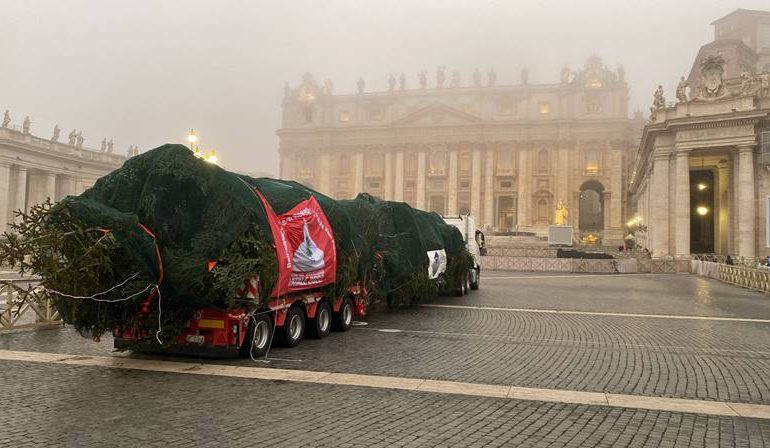 Dall’Abruzzo l’albero di Natale in Piazza San Pietro