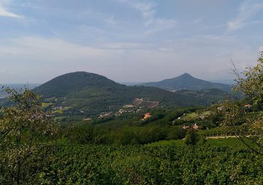 Il “verde” nei Colli Euganei, a Galzignano Terme si progetta un futuro ecosostenibile