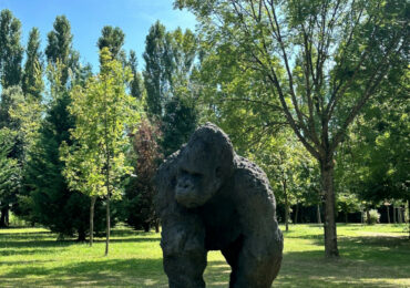 Il Gorilla di Davide Rivalta entra nel Parco Internazionale di Scultura di Banca Ifis