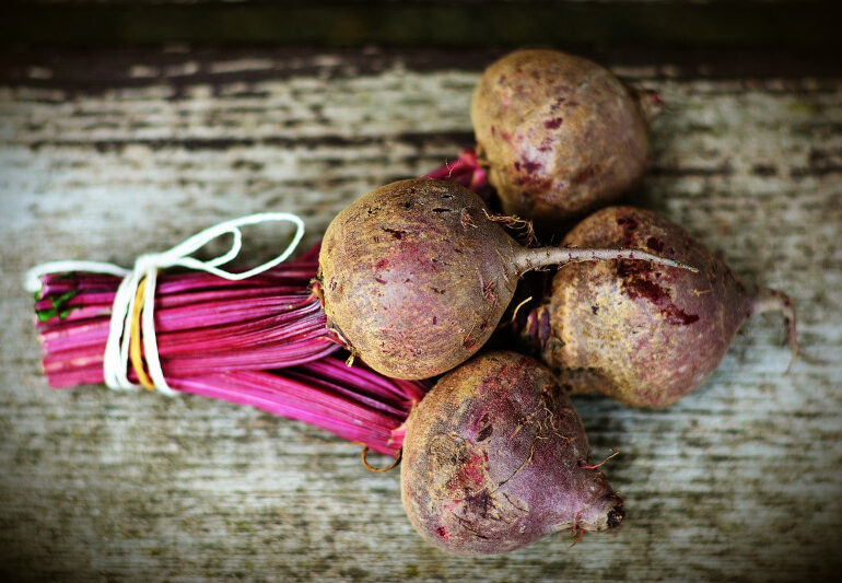 Lavoratori licenziati in bacheca. Le dichiarazioni della Cooperativa Coprob- Italia Zuccheri