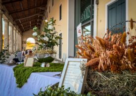 Noventa Wine Festival – Quando il vino racconta la sua terra