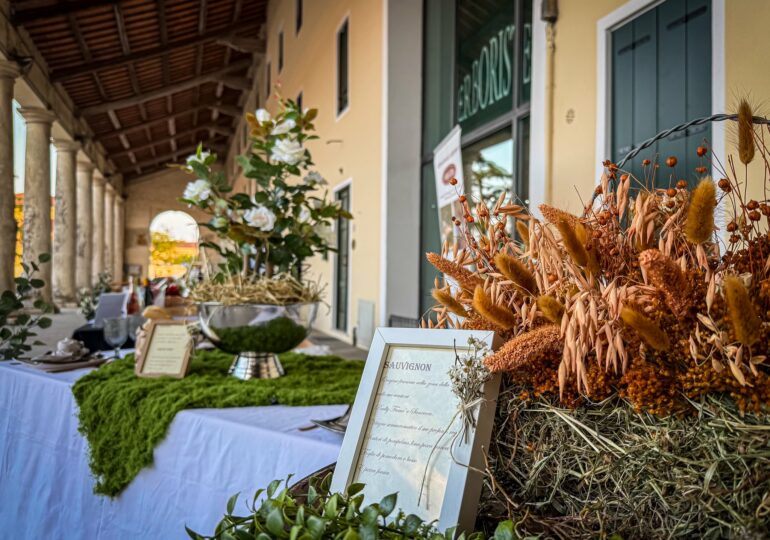 Noventa Wine Festival – Quando il vino racconta la sua terra