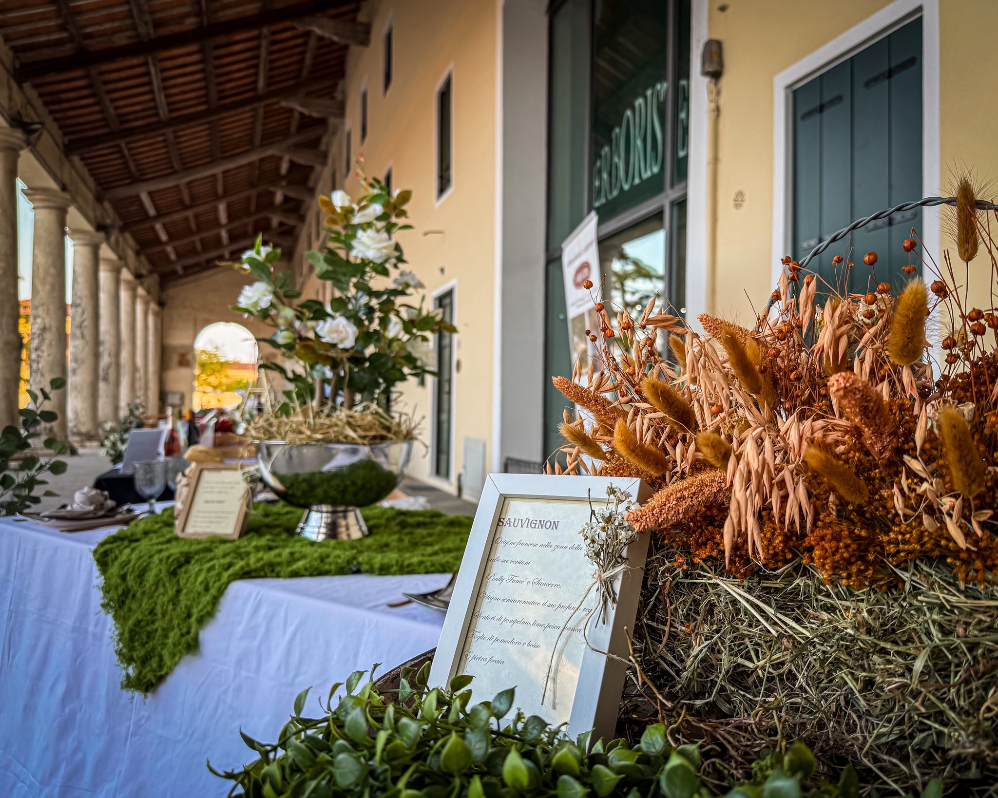 Noventa Wine Festival – Quando il vino racconta la sua terra