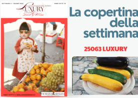 25063 Il futuro