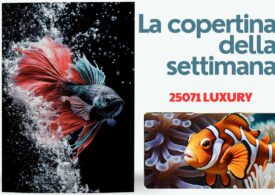 25071 Pesce d’estate