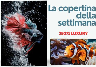 25071 Pesce d'estate