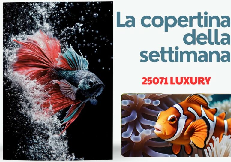 25071 Pesce d'estate