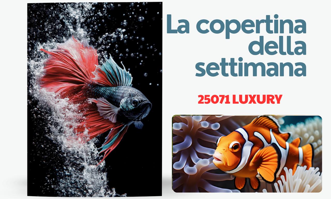 25071 Pesce d’estate