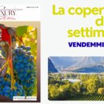 25091 La vendemmia in Italia: storia e rituali