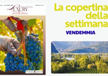 25091 La vendemmia in Italia: storia e rituali
