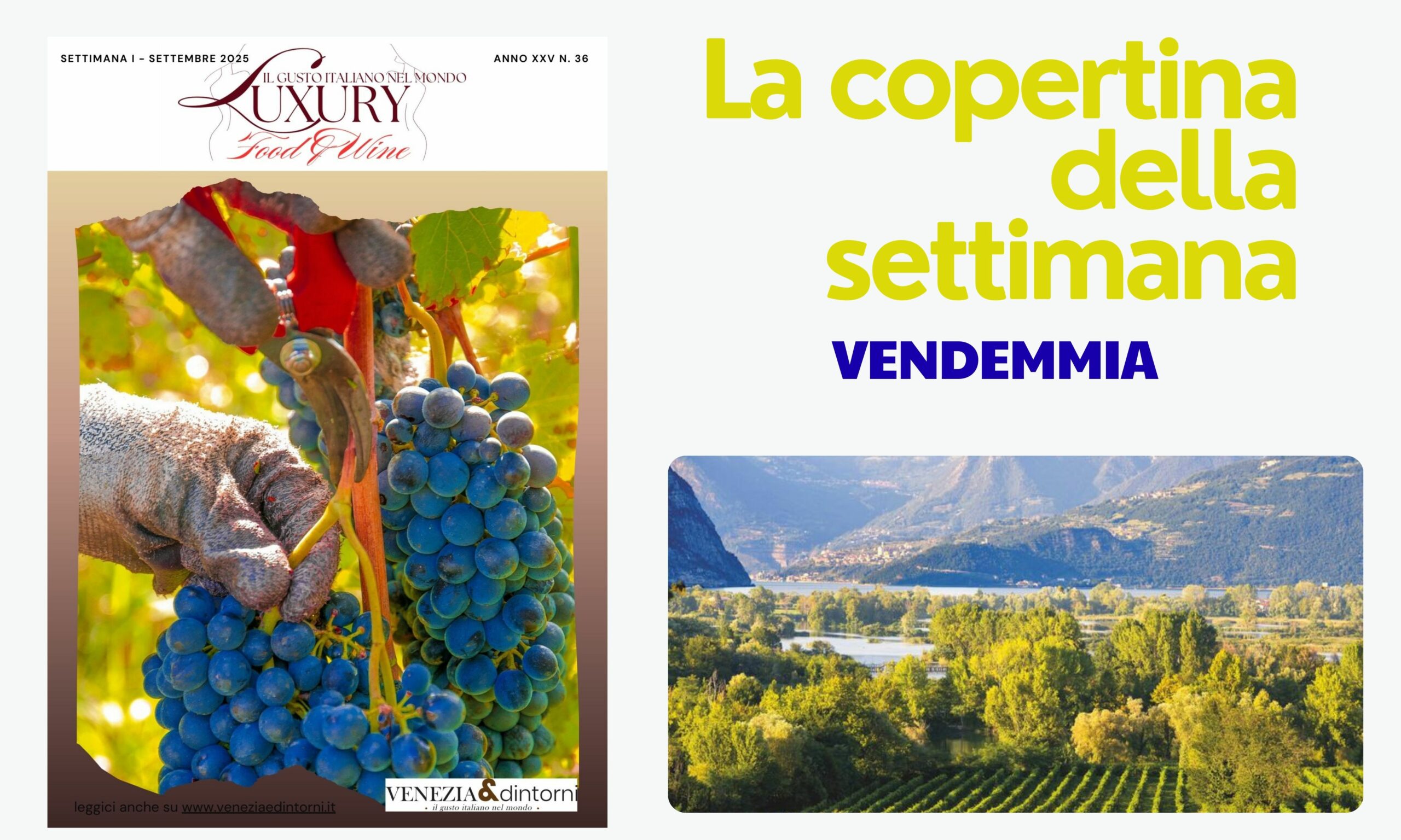 25091 La vendemmia in Italia: storia e rituali