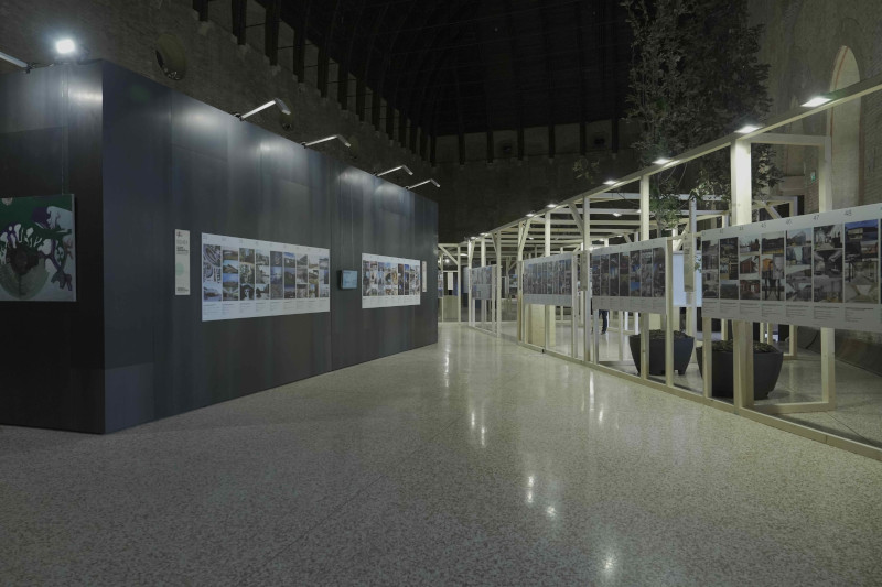 Mostra in Basilica Palladiana delle opere in gara per il Premio Dedalo Minosse 2025