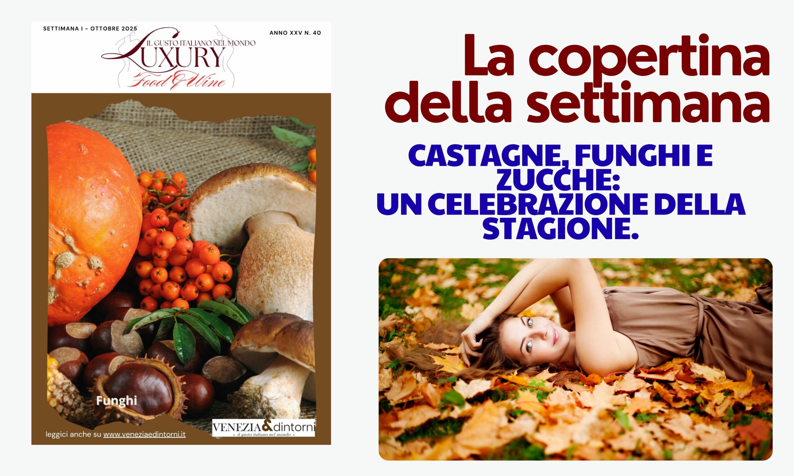 Luxury 25101 –  Castagne, funghi e zucche: una celebrazione della stagione.