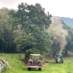 Il marrone fa festa a San Zeno di Montagna