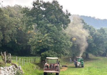 Il marrone fa festa a San Zeno di Montagna