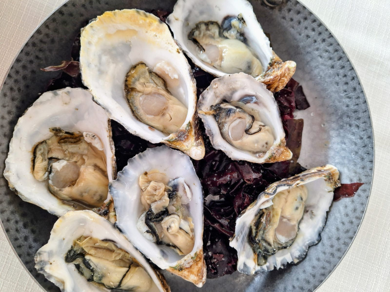Ostriche del Doge