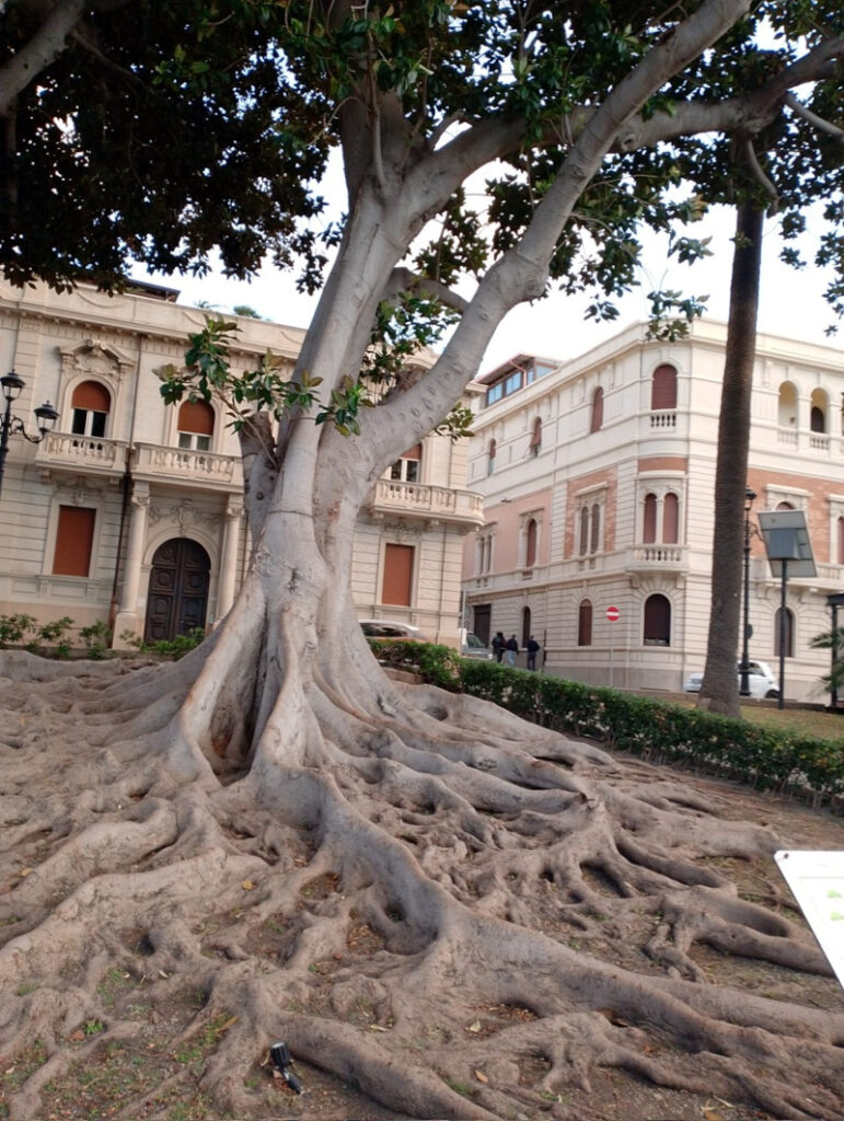 Reggio Calabria, palazzi in stile liberty