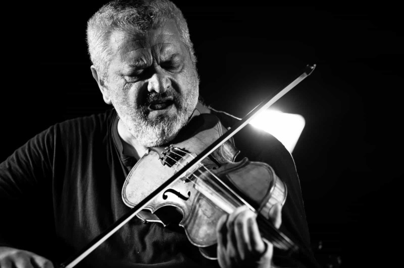 Danilo Rossi, viola