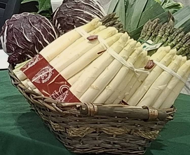 asparago di conche De.Co.