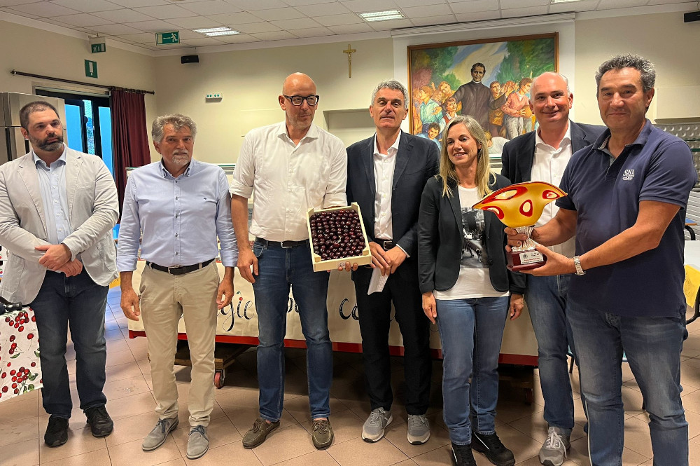 Festa dèa Sarésa, Galzignano celebra la sua ciliegia simbolo: tradizione, qualità e futuro per un’eccellenza dei Colli Euganei