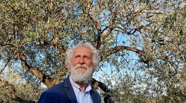 Pino Petruzzelli
