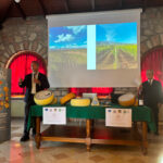 Asiago, un formaggio pieno di storia