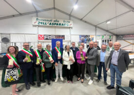 L’asparago di Conche diventa De.Co.: il territorio celebra la sua eccellenza tra tradizione e creatività in cucina