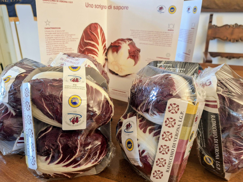 Radicchio Rosso di Verona IGP